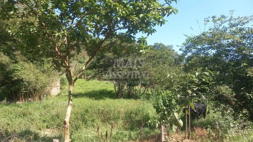 Excelente Chácara para Venda em Taquara Bairro Pega Fogo