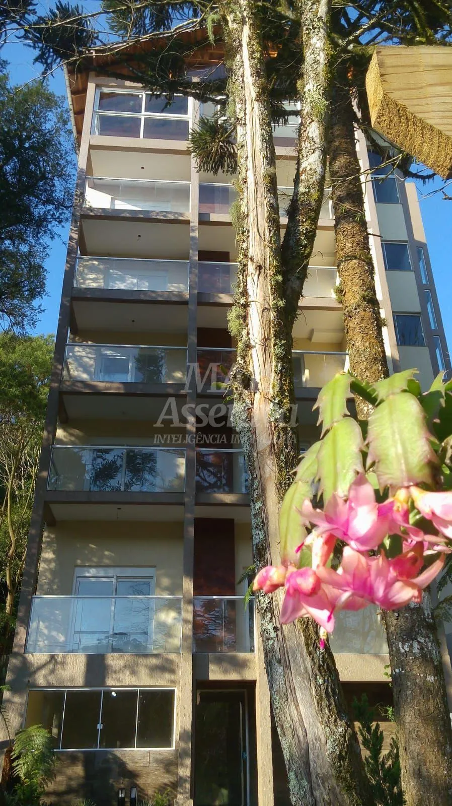 Apartamento semi-mobiliado a venda em São Bernardo - São Francisco de Paula/RS