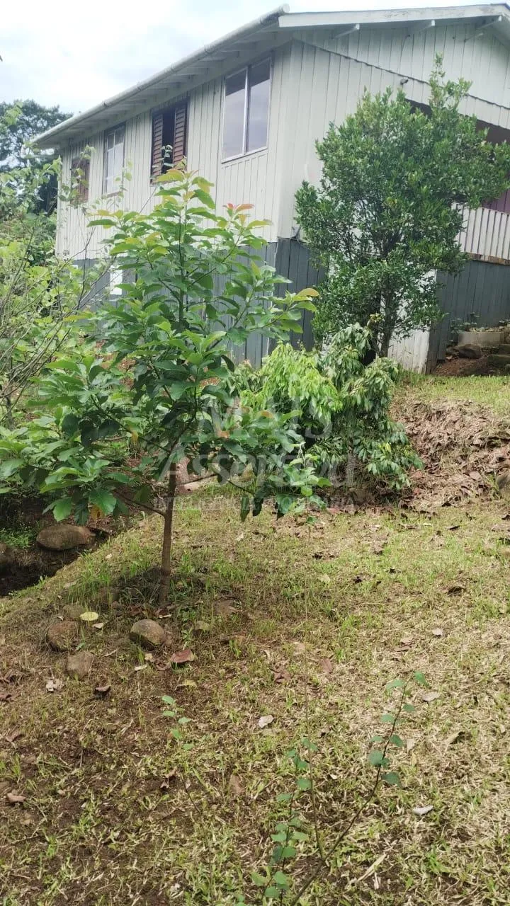 Chácara para venda em Santo Antônio da Patrulha Roça Grande