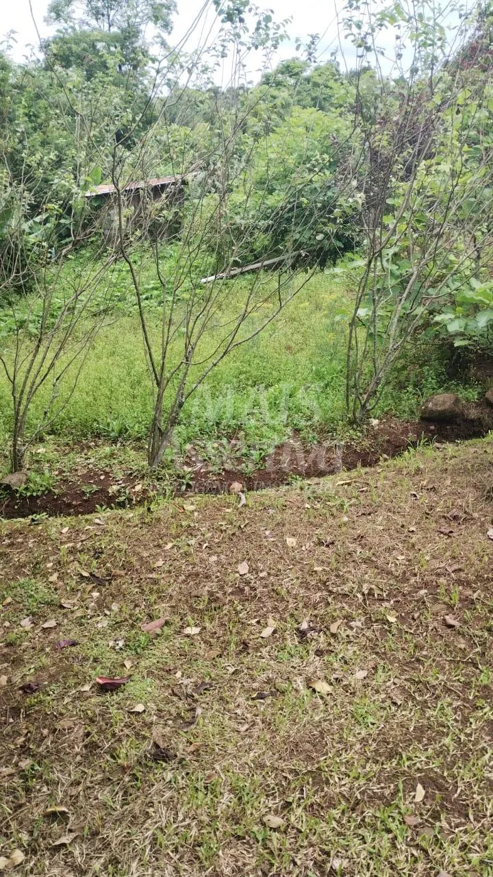 Chácara para venda em Santo Antônio da Patrulha Roça Grande