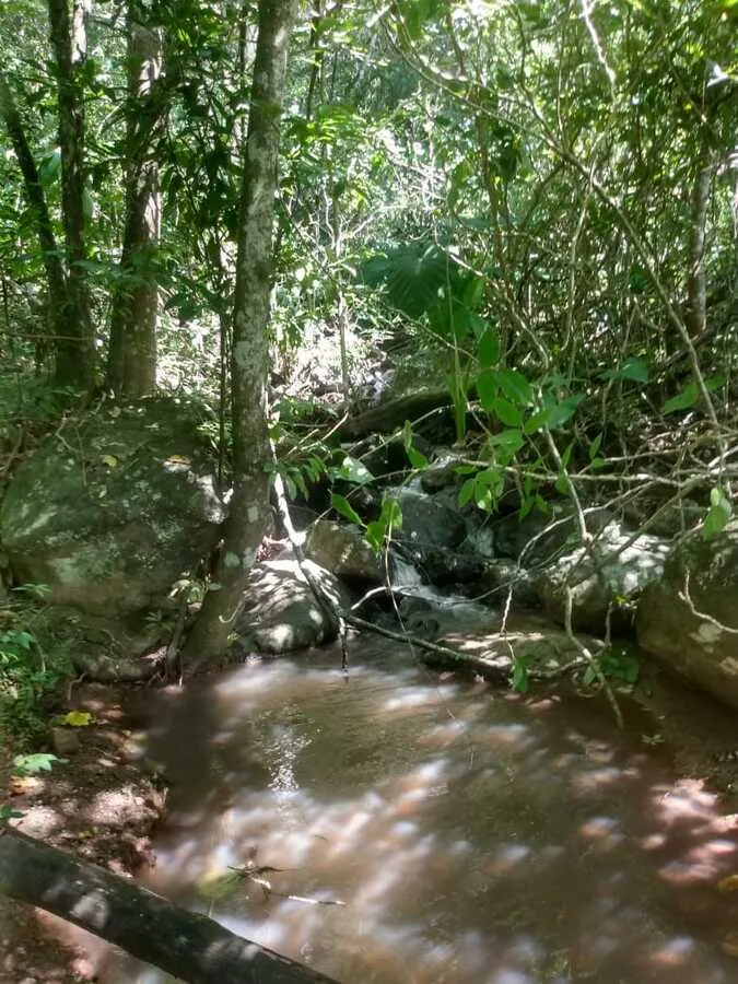 Chácara para venda, bairro Voluntário Baixo em Igrejinha/RS.