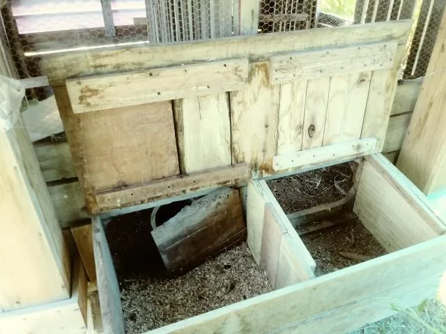 Chácara para Venda em Taquara / RS no bairro Fazenda Fialho