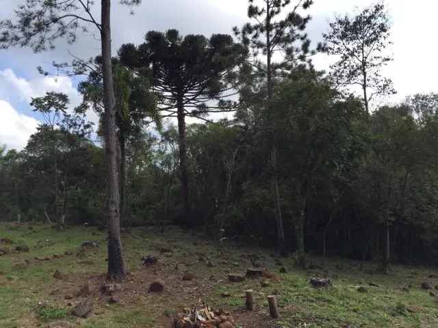 Chácara para Venda em Taquara / RS no bairro Santa Cruz da Concórdia