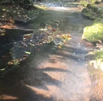 Chácara para Venda em Taquara / RS no bairro Santa Cruz da Concórdia