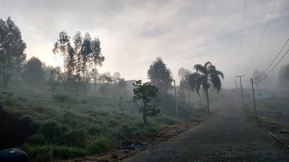Terreno para Venda em Portão / RS