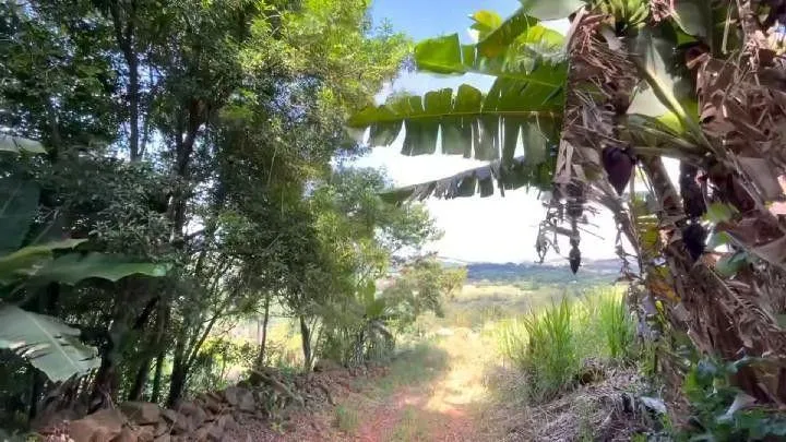 Chácara para Venda em Santo Antônio da Patrulha / RS no bairro Roça Grande