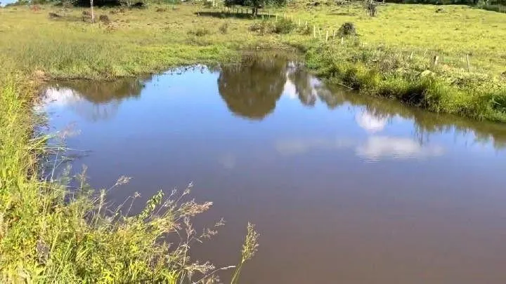Chácara para Venda em Santo Antônio da Patrulha / RS no bairro Roça Grande