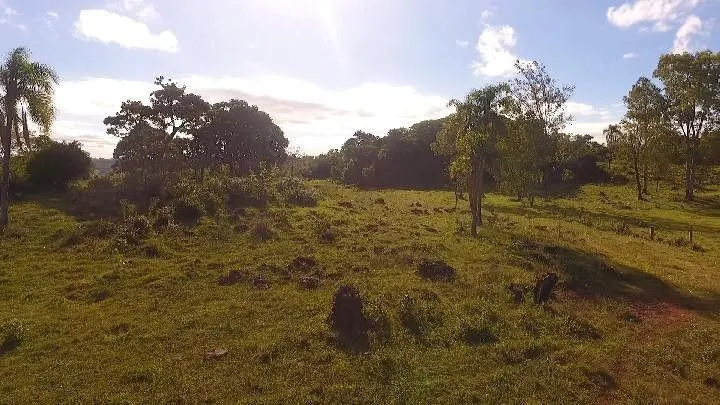 Chácara para Venda em Santo Antônio da Patrulha / RS no bairro Roça Grande