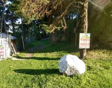 Terreno para Venda em São Francisco de Paula / RS
