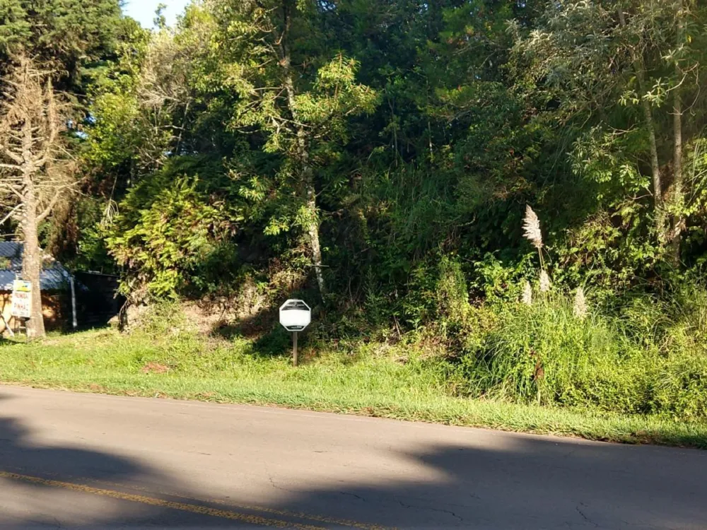 Terreno para Venda em São Francisco de Paula / RS