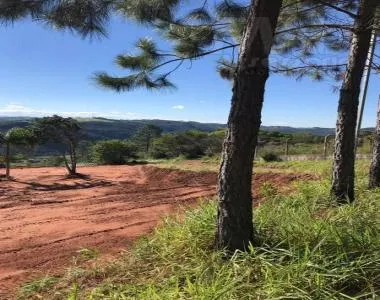 Terreno para Venda em Novo Hamburgo / RS no bairro Lomba Grande