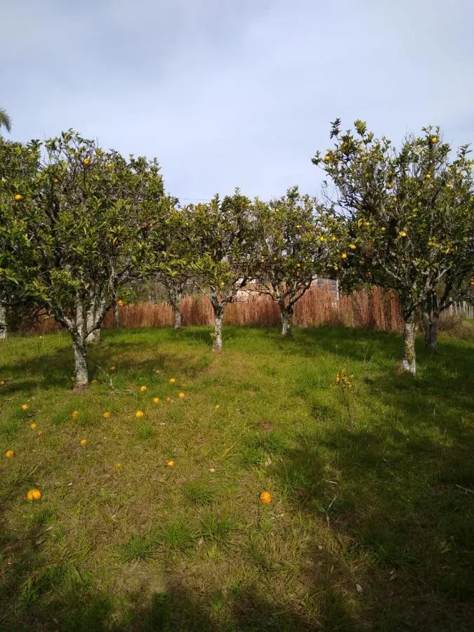 Chácara para Venda em Gramado / RS no bairro Várzea Grande Linha Carara