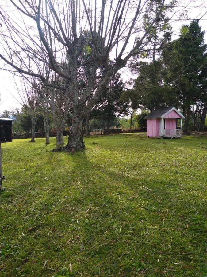 Chácara para Venda em Gramado / RS no bairro Várzea Grande Linha Carara
