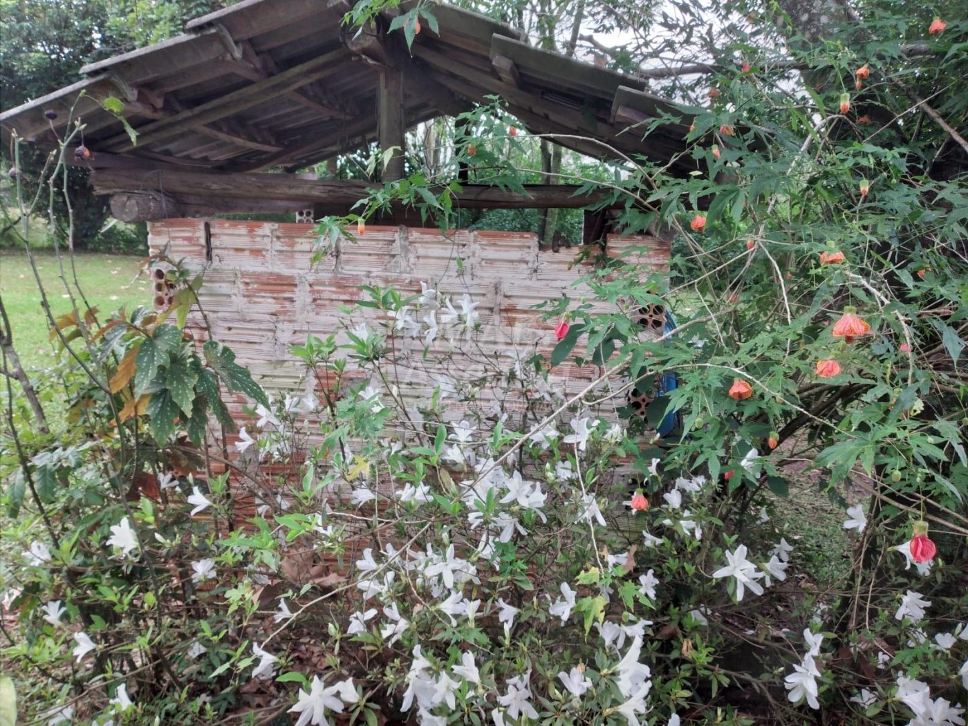 Chacara para venda em São Jacó, Lomba Grande, NH - 5.000m² 