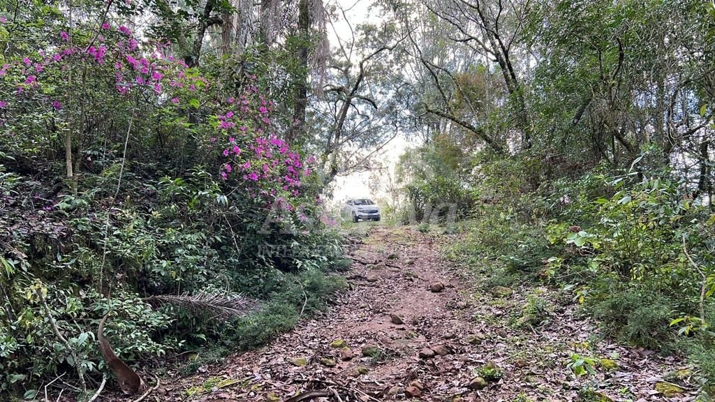 Excelente área de terra para venda em Gramado