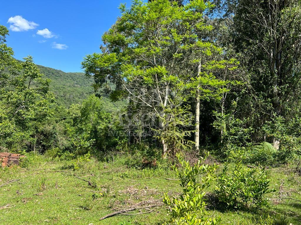 Excelente área de terra para venda em Gramado