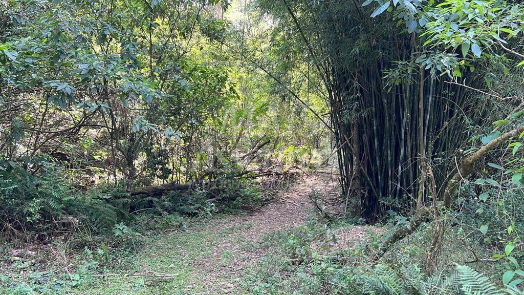 Excelente área de terra para venda em Gramado