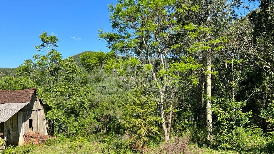 Excelente área de terra para venda em Gramado