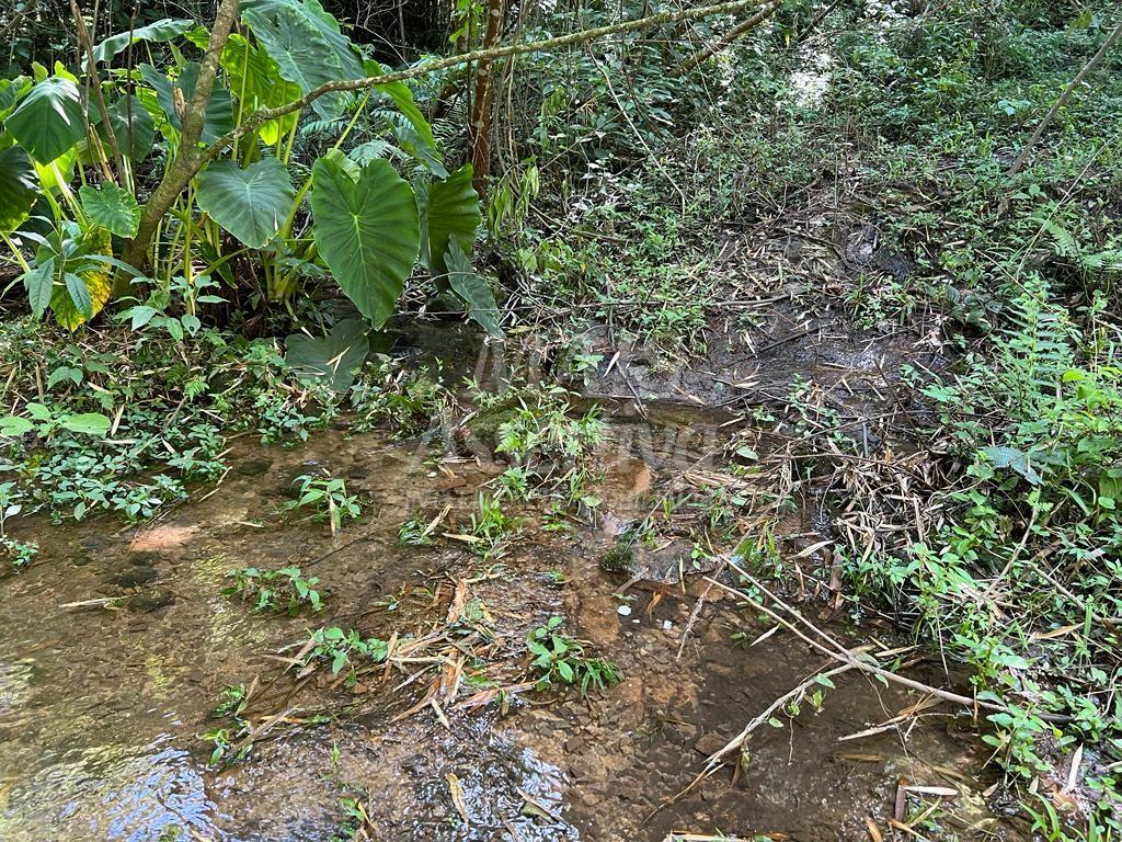 Excelente área de terra para venda em Gramado