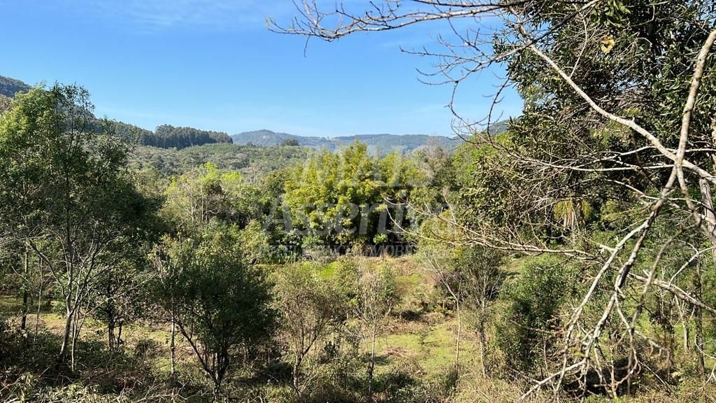 Área de terra para venda em Gramado