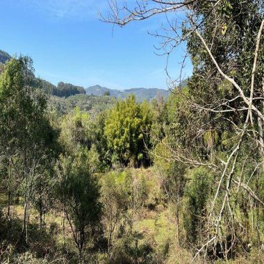 Área de terra para venda em Gramado