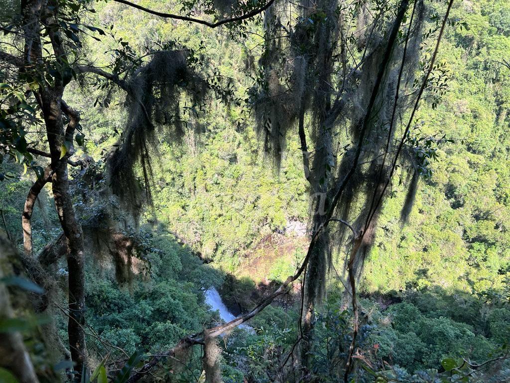 Área de terra para venda em Gramado