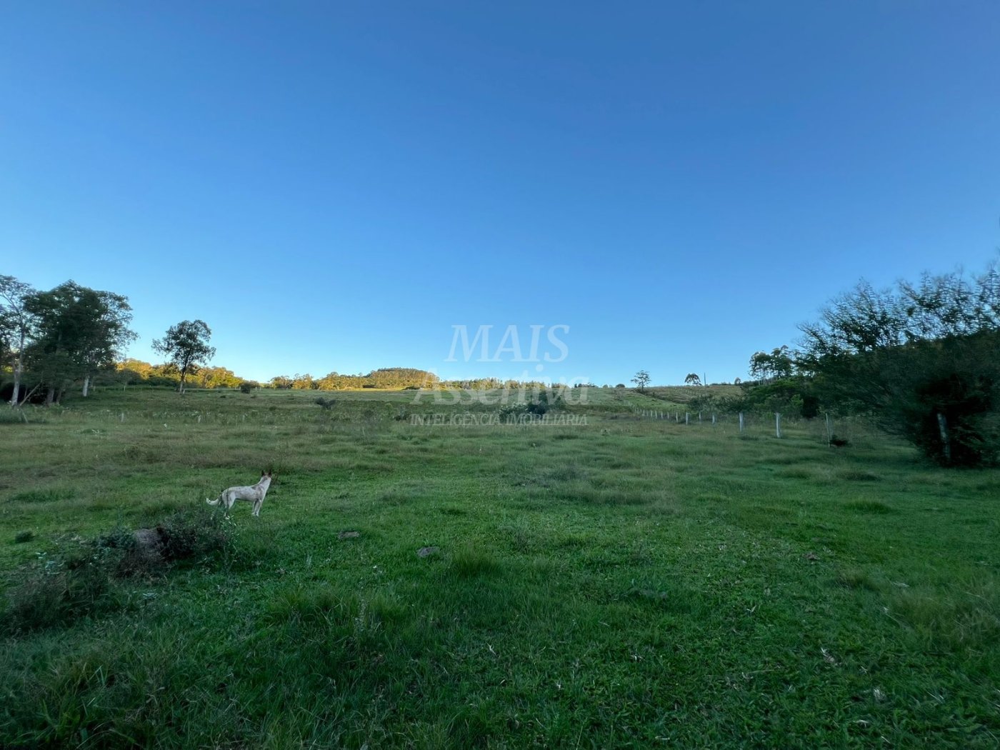 Chácara de 10 hectares para venda em Lomba Grande, Novo Hamburgo