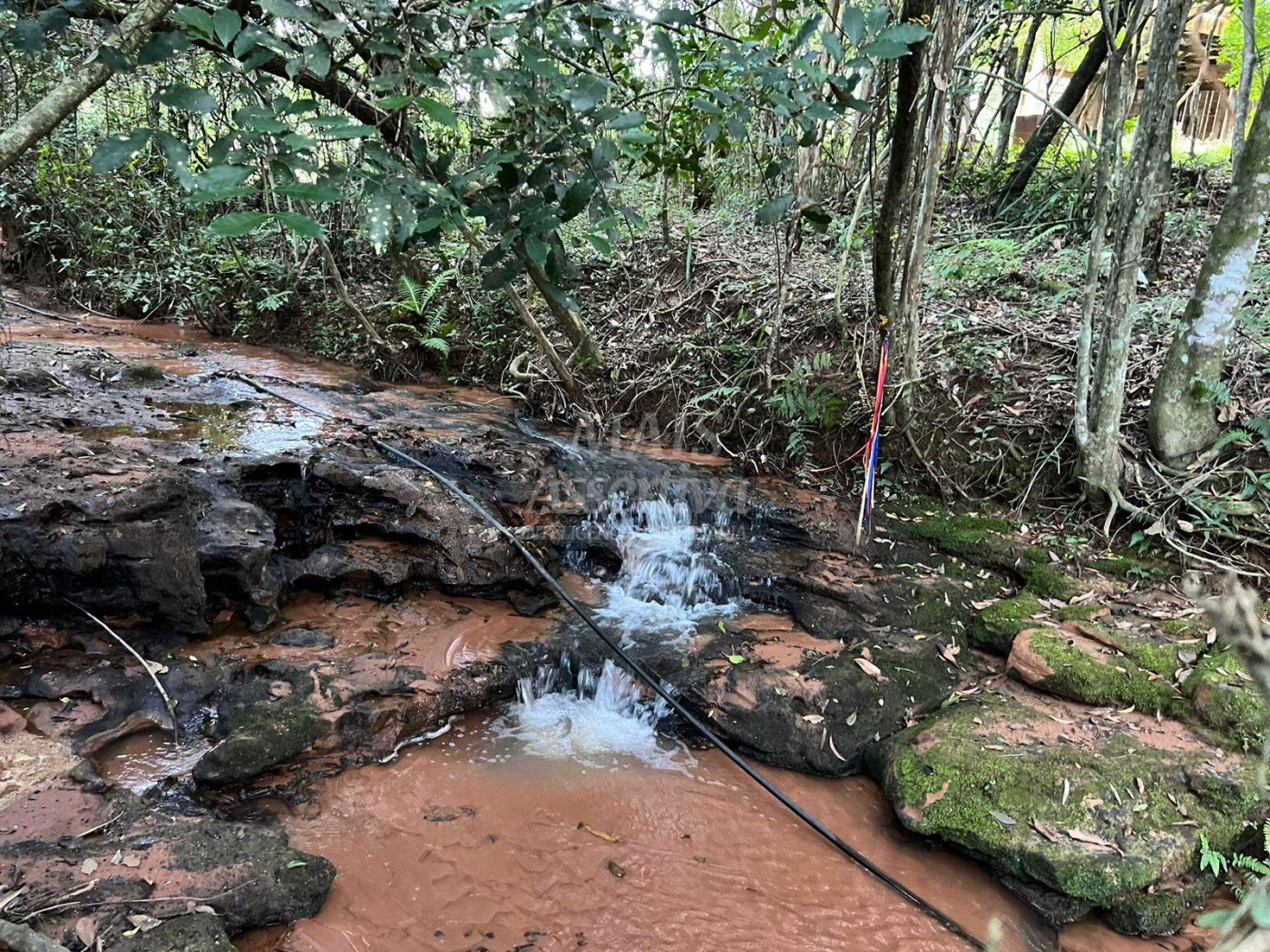 Chácara de 10 hectares para venda em Lomba Grande, Novo Hamburgo