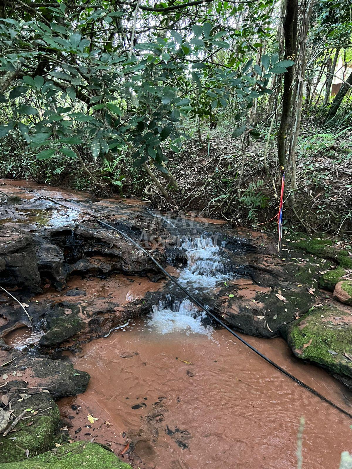 Chácara de 10 hectares para venda em Lomba Grande, Novo Hamburgo