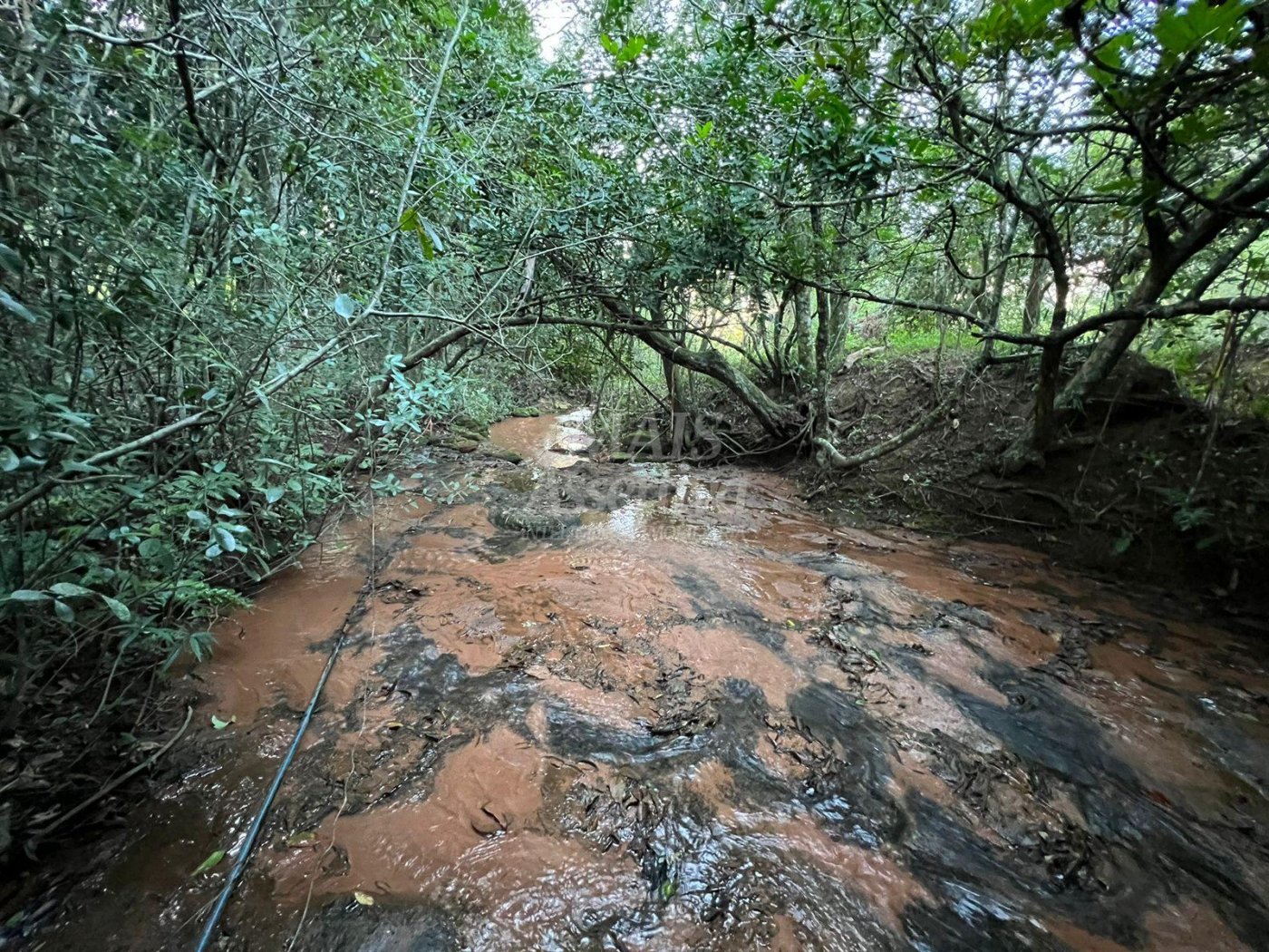 Chácara de 10 hectares para venda em Lomba Grande, Novo Hamburgo