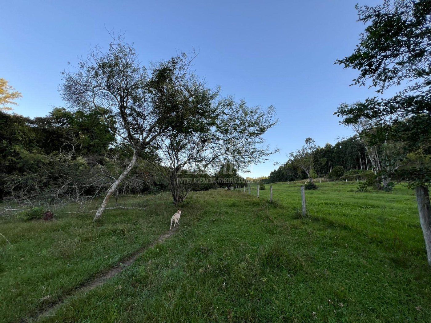 Chácara de 10 hectares para venda em Lomba Grande, Novo Hamburgo
