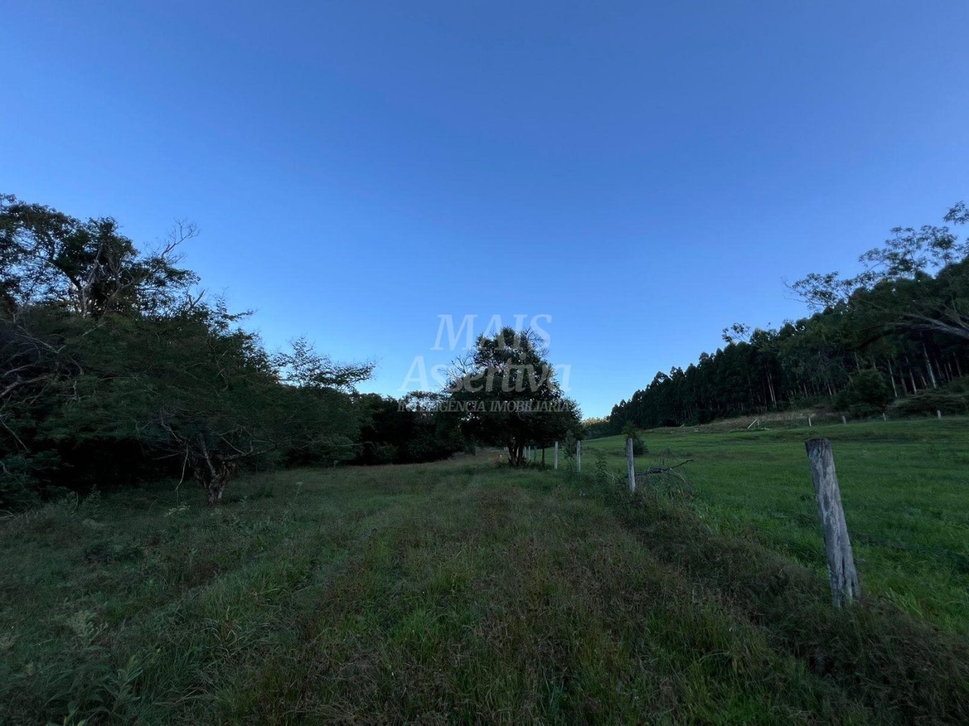 Chácara de 10 hectares para venda em Lomba Grande, Novo Hamburgo