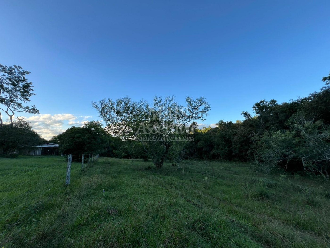 Chácara de 10 hectares para venda em Lomba Grande, Novo Hamburgo