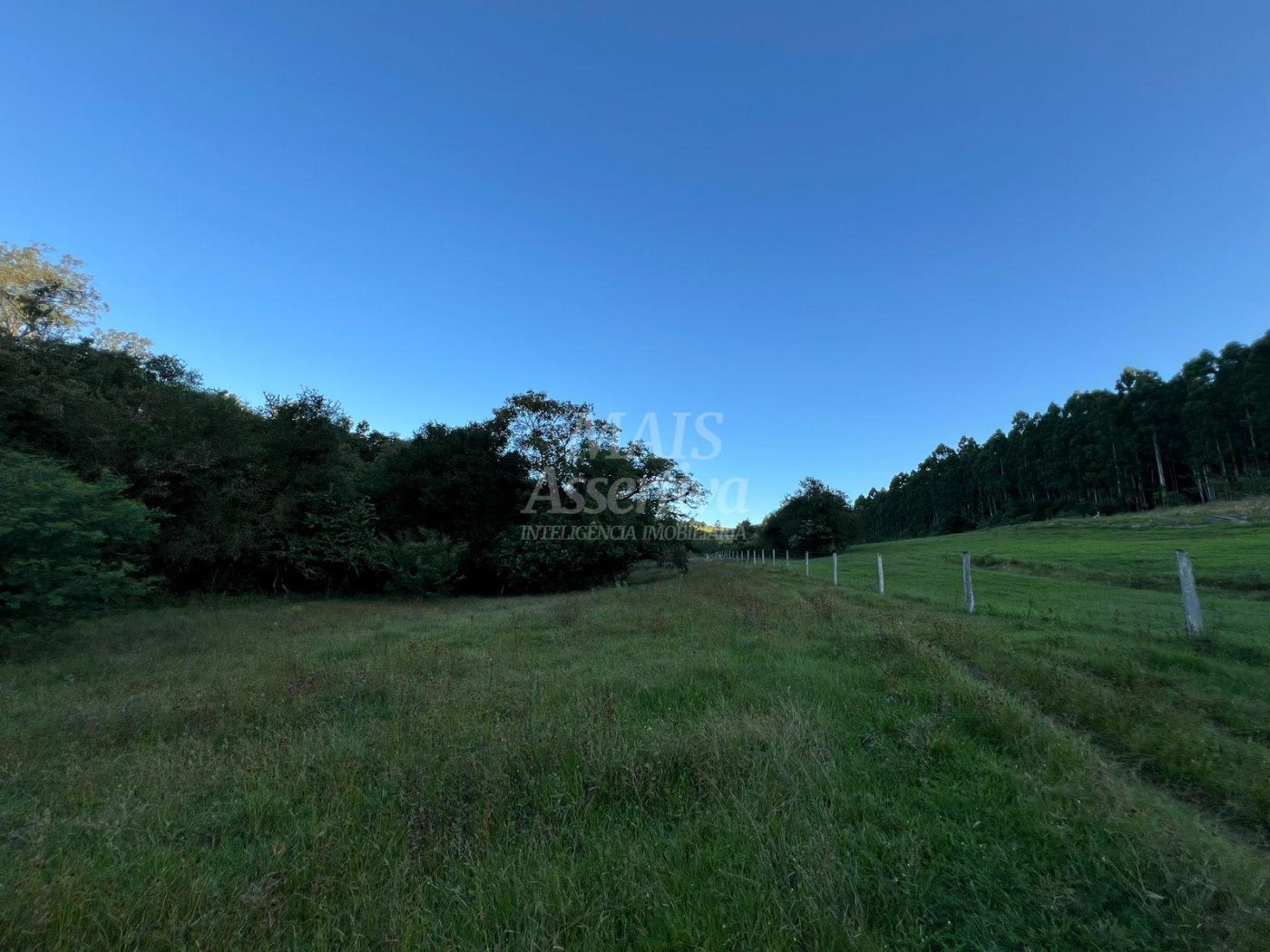 Chácara de 10 hectares para venda em Lomba Grande, Novo Hamburgo