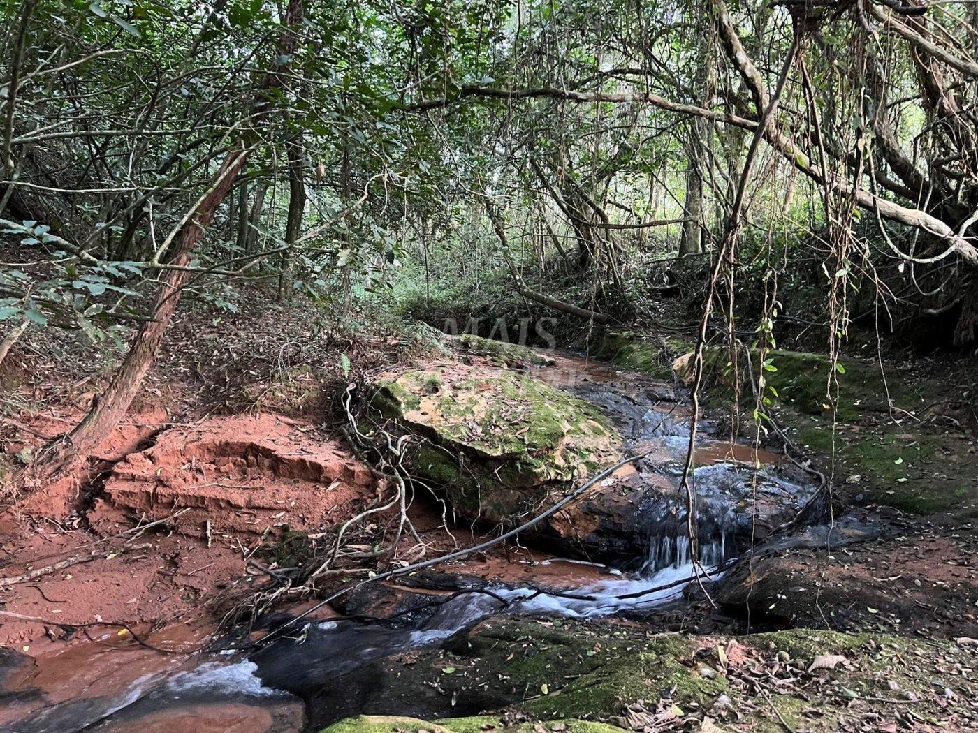 Chácara de 10 hectares para venda em Lomba Grande, Novo Hamburgo