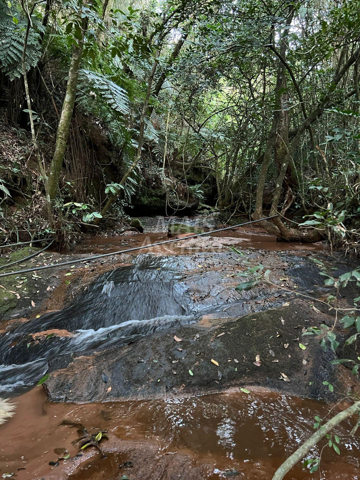 Chácara de 10 hectares para venda em Lomba Grande, Novo Hamburgo