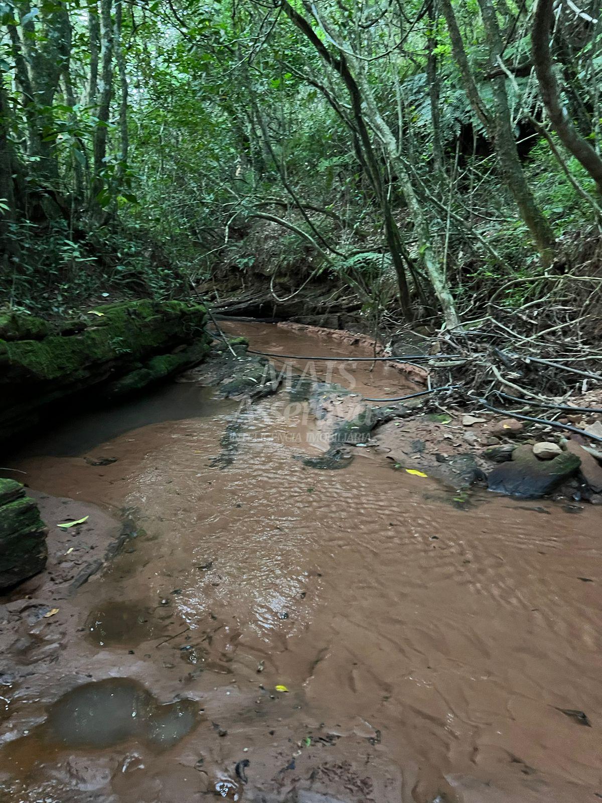 Chácara de 10 hectares para venda em Lomba Grande, Novo Hamburgo