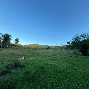 Chácara de 10 hectares para venda em Lomba Grande, Novo Hamburgo