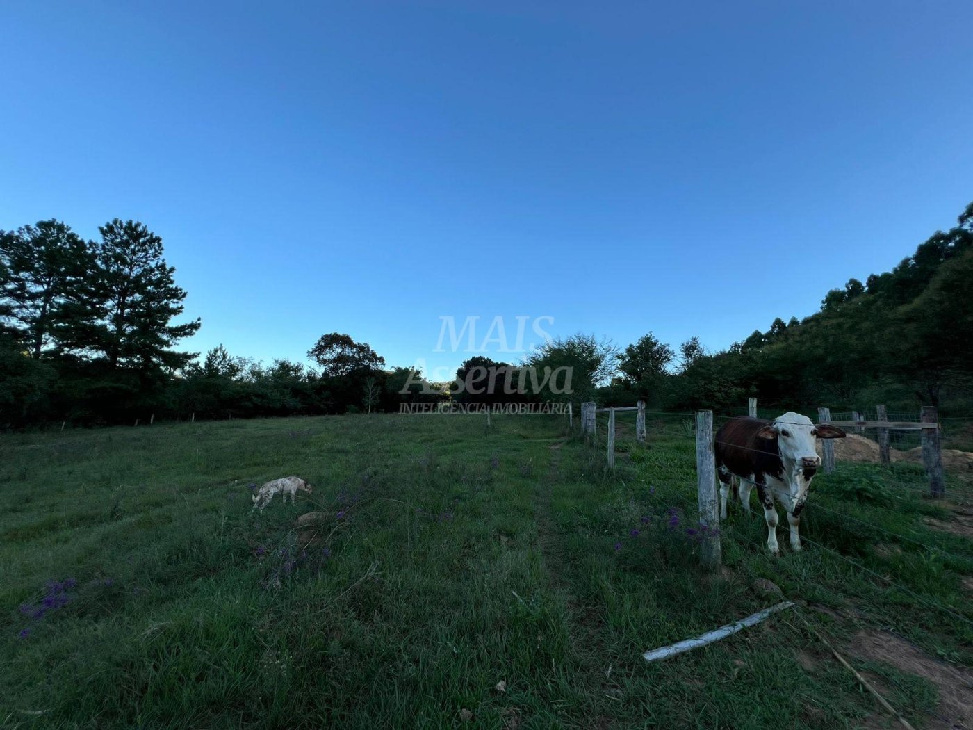 Chácara de 10 hectares para venda em Lomba Grande, Novo Hamburgo