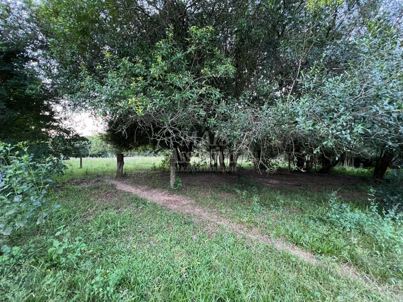 Chácara de 10 hectares para venda em Lomba Grande, Novo Hamburgo