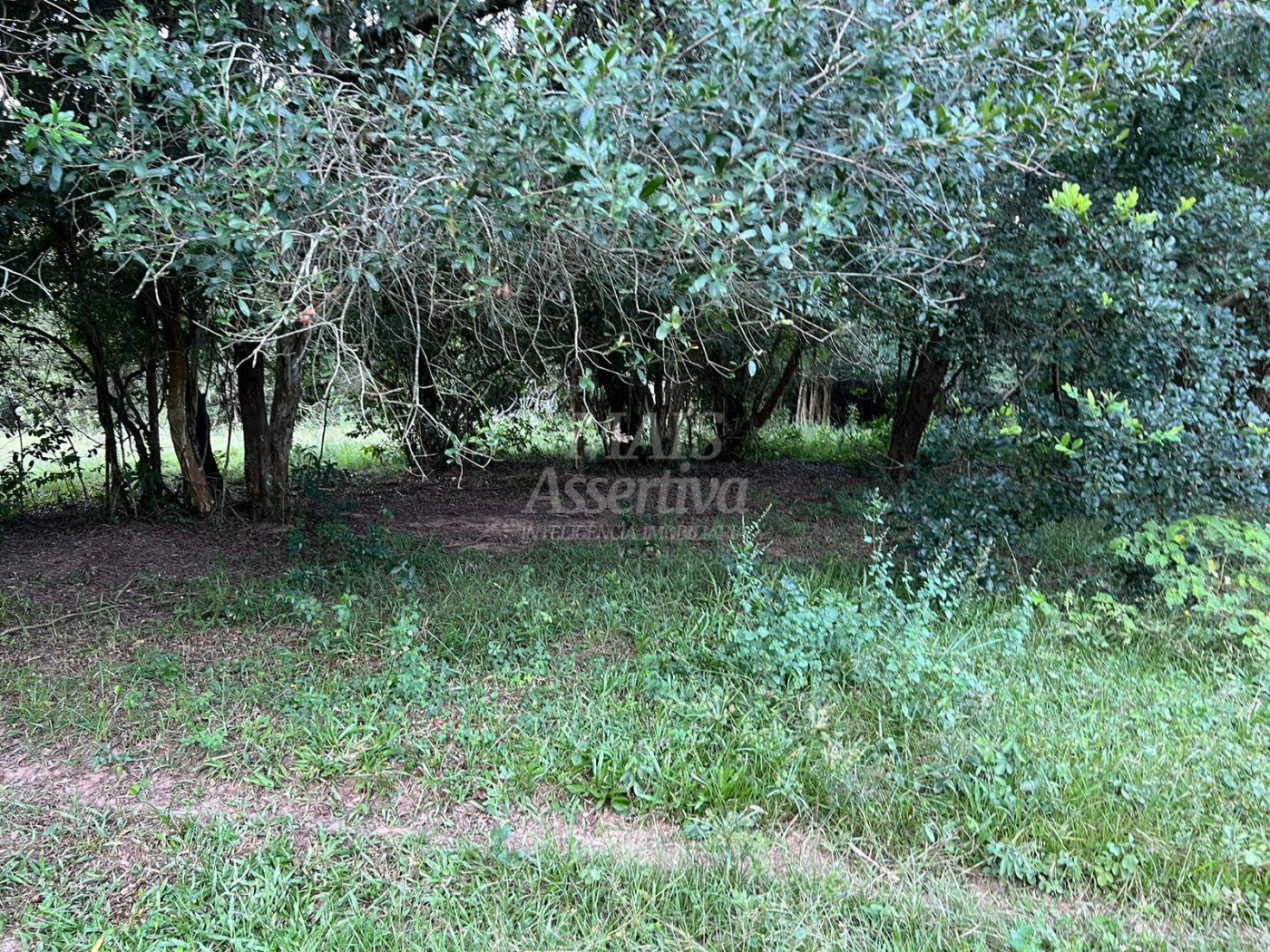 Chácara de 10 hectares para venda em Lomba Grande, Novo Hamburgo
