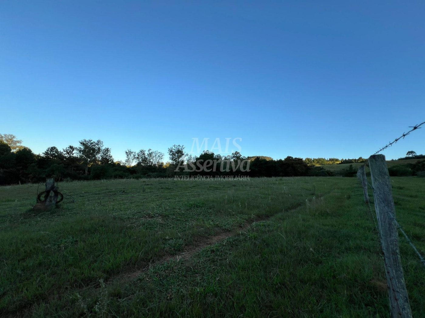 Chácara de 10 hectares para venda em Lomba Grande, Novo Hamburgo