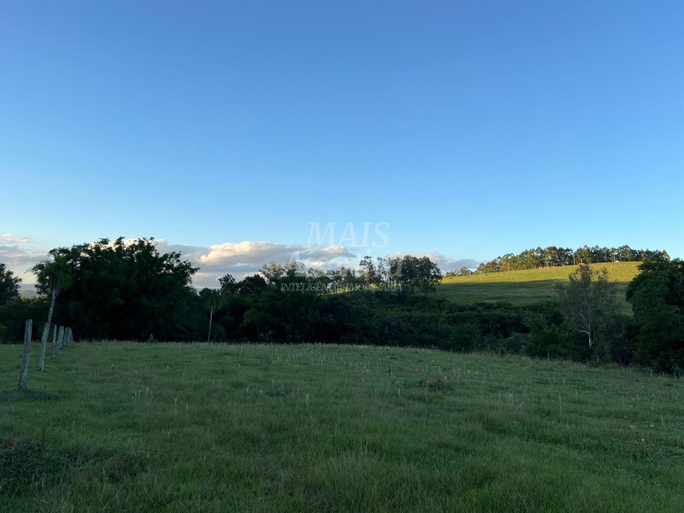 Chácara de 10 hectares para venda em Lomba Grande, Novo Hamburgo
