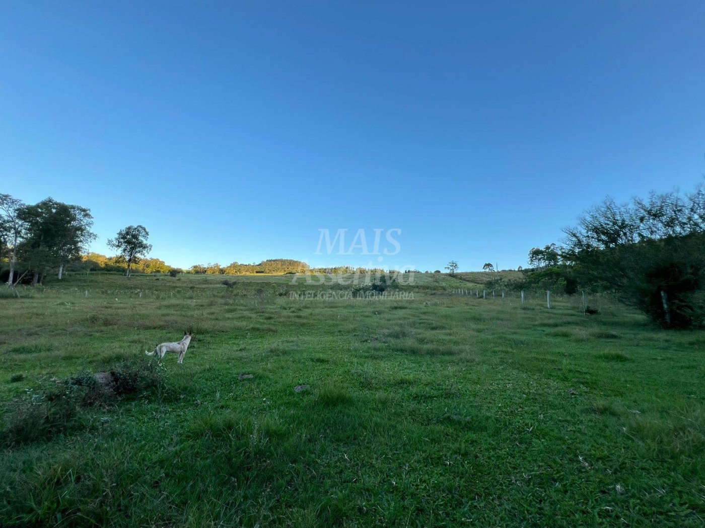 Chácara de 10 hectares para venda em Lomba Grande, Novo Hamburgo