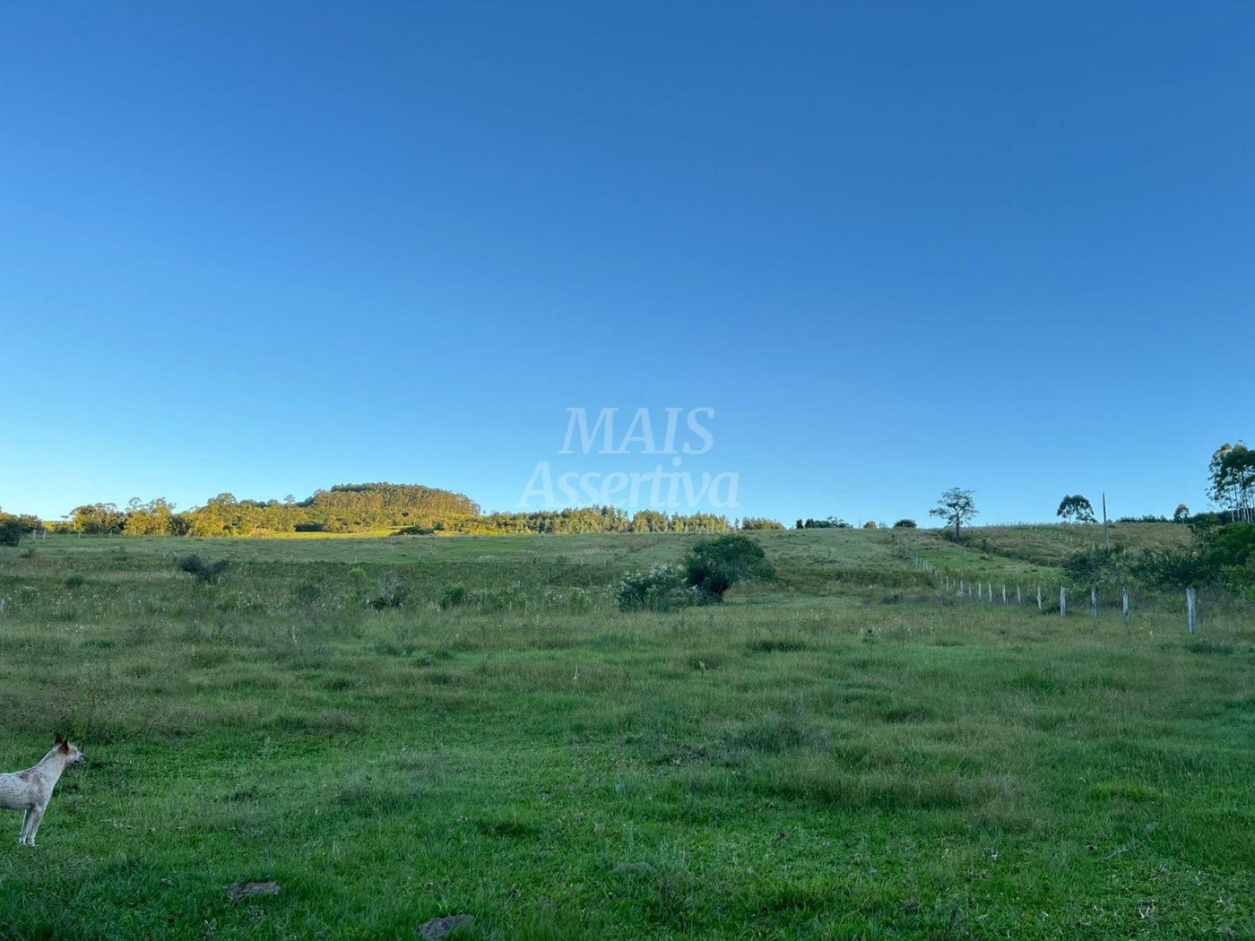Chácara de 10 hectares para venda em Lomba Grande, Novo Hamburgo