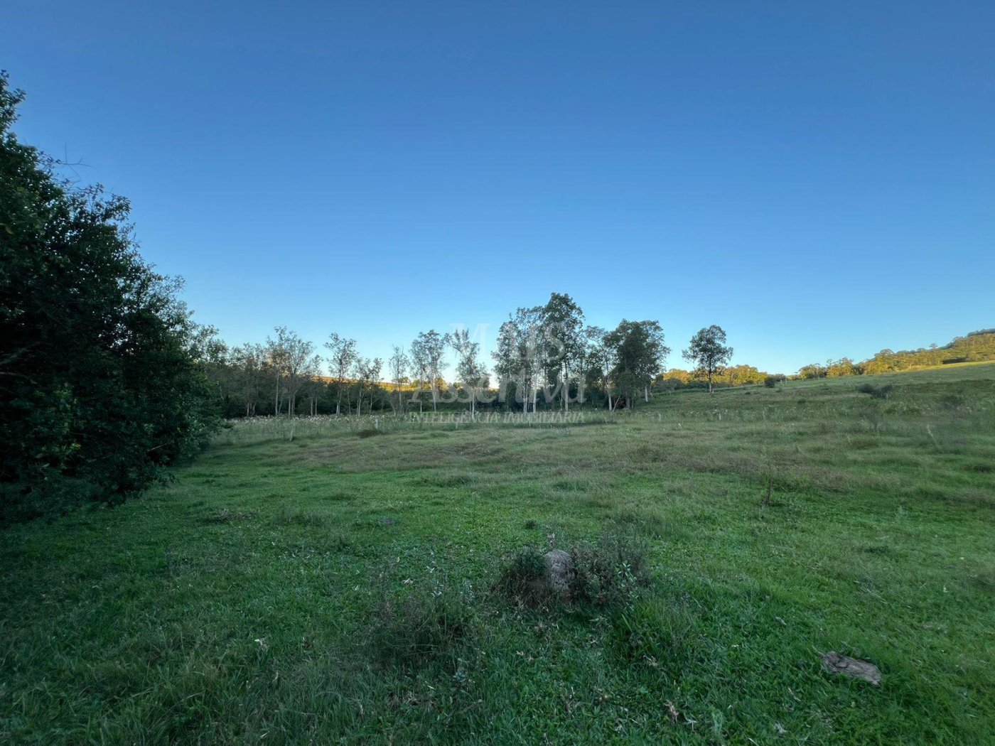 Chácara de 10 hectares para venda em Lomba Grande, Novo Hamburgo