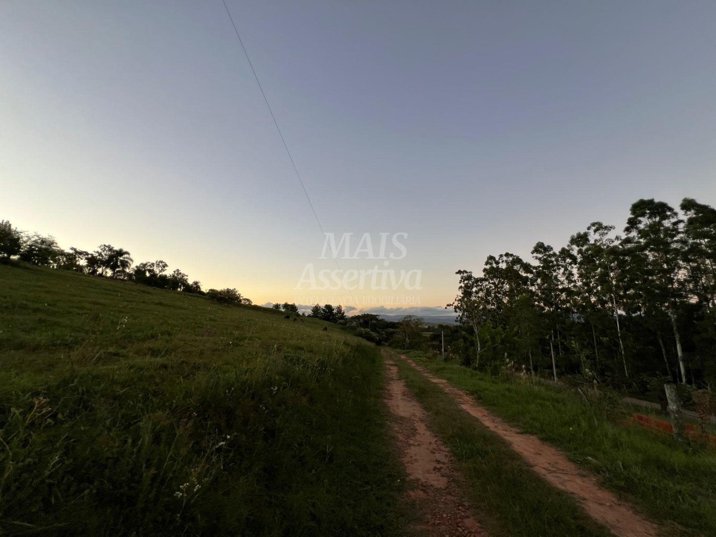Chácara de 10 hectares para venda em Lomba Grande, Novo Hamburgo