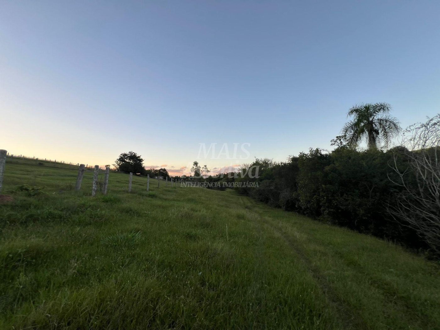 Chácara de 10 hectares para venda em Lomba Grande, Novo Hamburgo