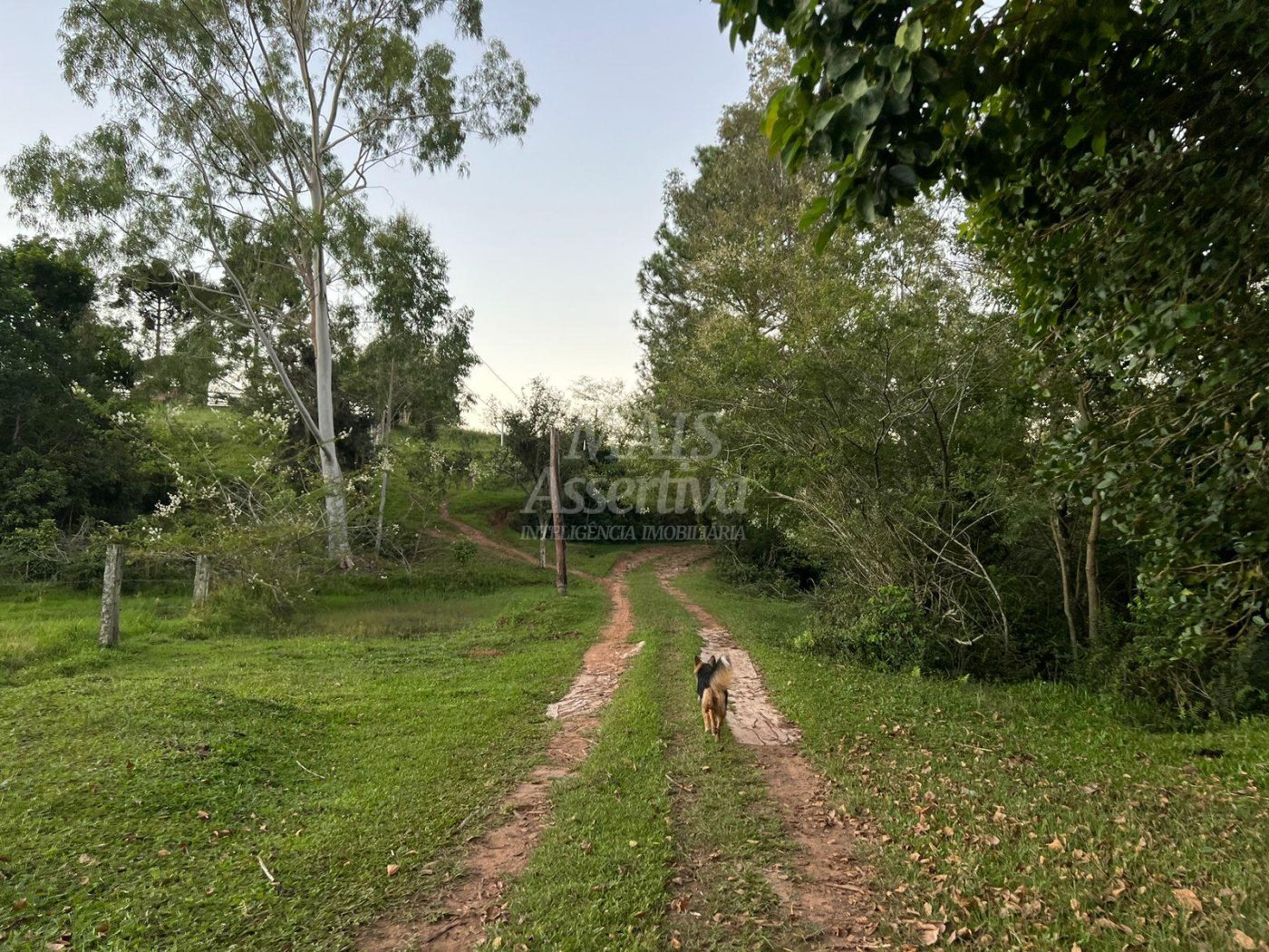 Chácara de 10 hectares para venda em Lomba Grande, Novo Hamburgo