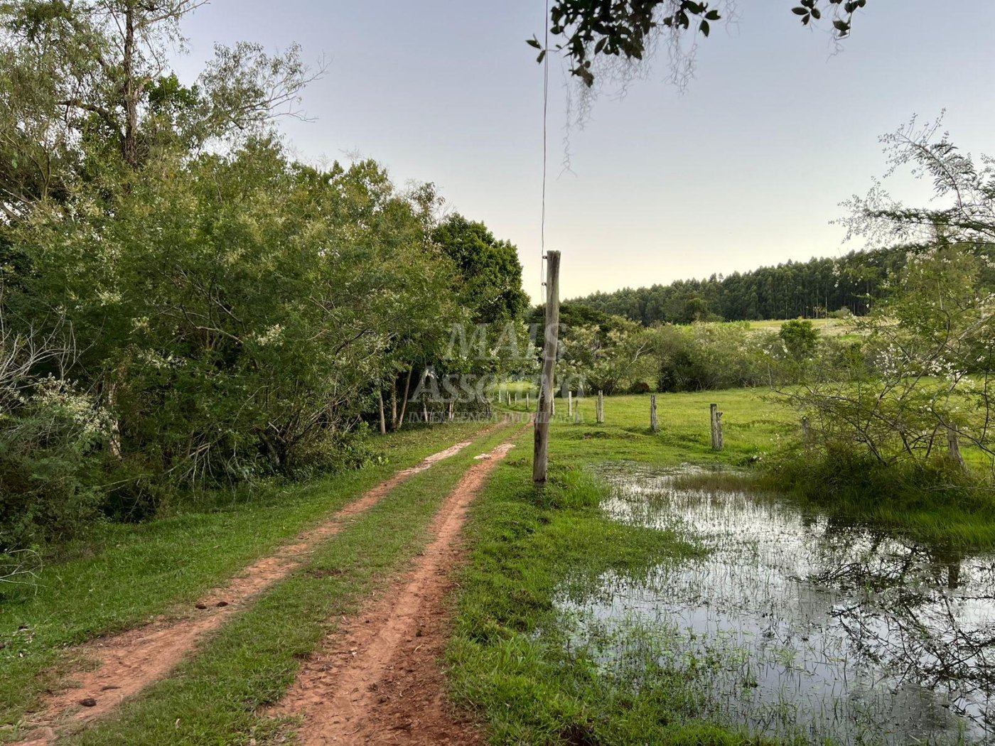 Chácara de 10 hectares para venda em Lomba Grande, Novo Hamburgo